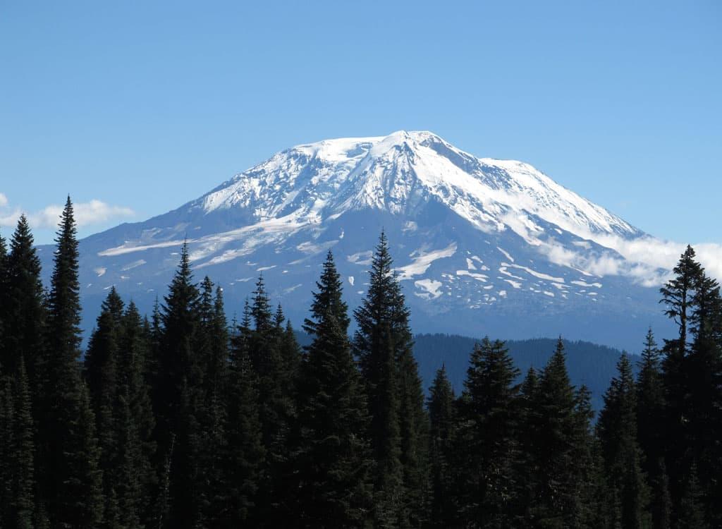 A massive, snow-capped mountain peak rising above a dense evergreen forest under a clear blue sky.
