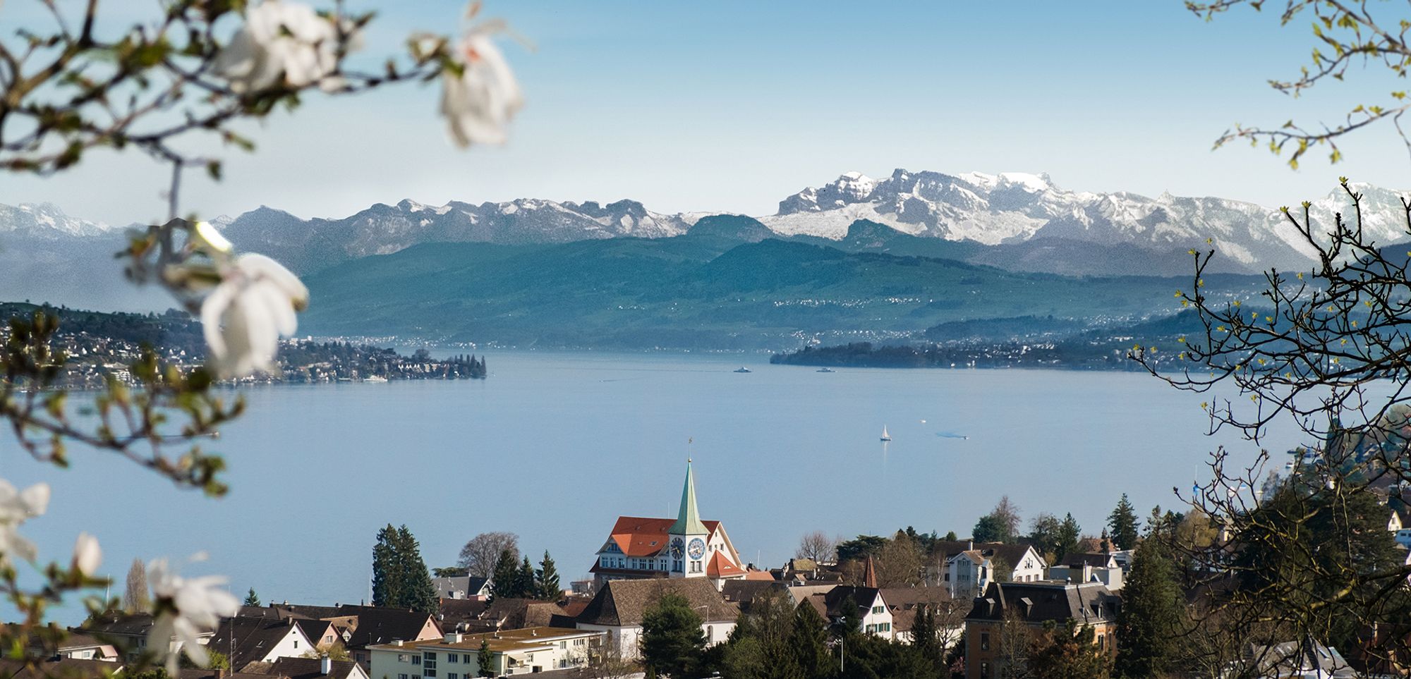 An Ultimate Guide to Single Client Rehabs hero image