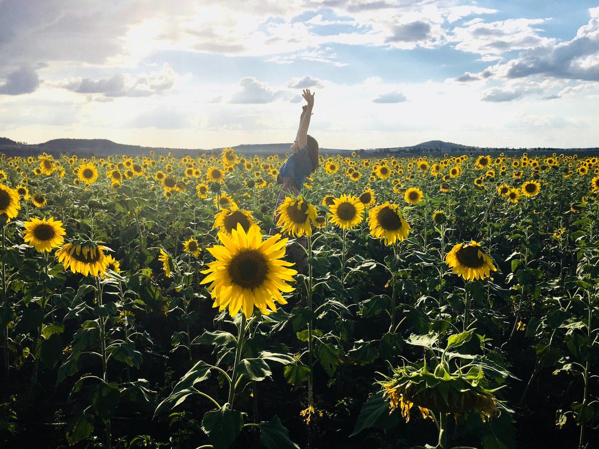 A person stands in a vast sunflower field with arms raised toward the sky under soft sunlight, capturing a sense of freedom, hope, and the idea that recovery can be joyful.