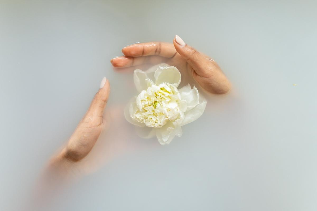 Overhead view of two hands gently cupping a white peony floating in a milky, opaque bath.