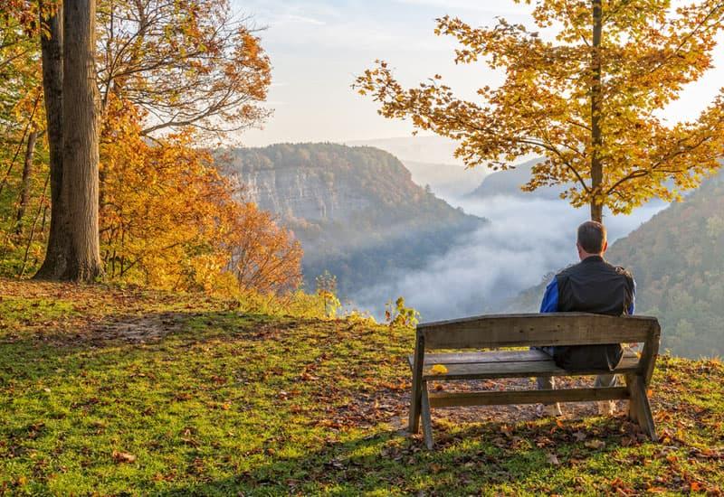 Person sitting on a wooden bench overlooking a misty mountain valley, surrounded by golden autumn trees and fallen leaves.