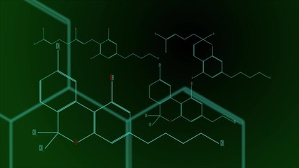 Illustration showing the skeletal structures of several cannabinoids, including THC and CBD, overlayed with a honeycomb pattern.