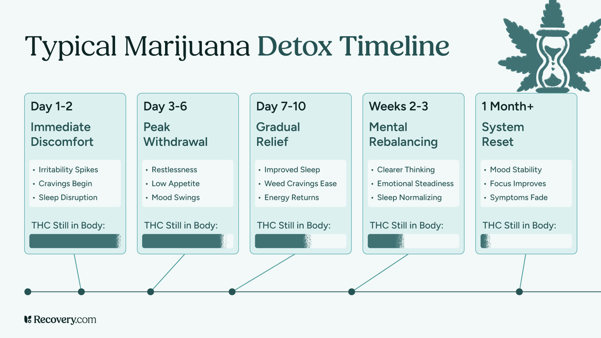 Typical marijuana detox timeline showing five detox phases: Day 1 to 2 (Immediate Discomfort: irritability, cravings, sleep issues), Day 3 to 6 (Peak Withdrawal: restlessness, low appetite, mood swings), Day 7 to 10 (Gradual Relief: improved sleep, reduced cravings), Weeks 2 to 3 (Mental Rebalancing: clearer thinking, emotional steadiness), and 1 Month or more (System Reset: mood stability, improved focus). THC levels in the body gradually decrease over time.