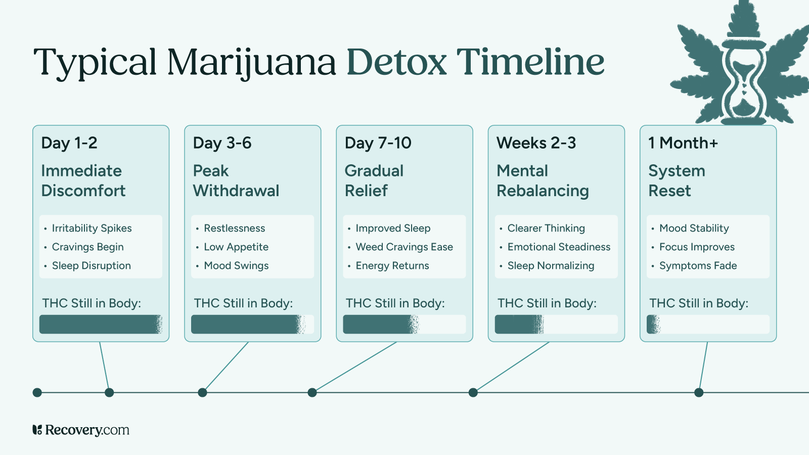 Typical marijuana detox timeline showing five detox phases: Day 1 to 2 (Immediate Discomfort: irritability, cravings, sleep issues), Day 3 to 6 (Peak Withdrawal: restlessness, low appetite, mood swings), Day 7 to 10 (Gradual Relief: improved sleep, reduced cravings), Weeks 2 to 3 (Mental Rebalancing: clearer thinking, emotional steadiness), and 1 Month or more (System Reset: mood stability, improved focus). THC levels in the body gradually decrease over time.