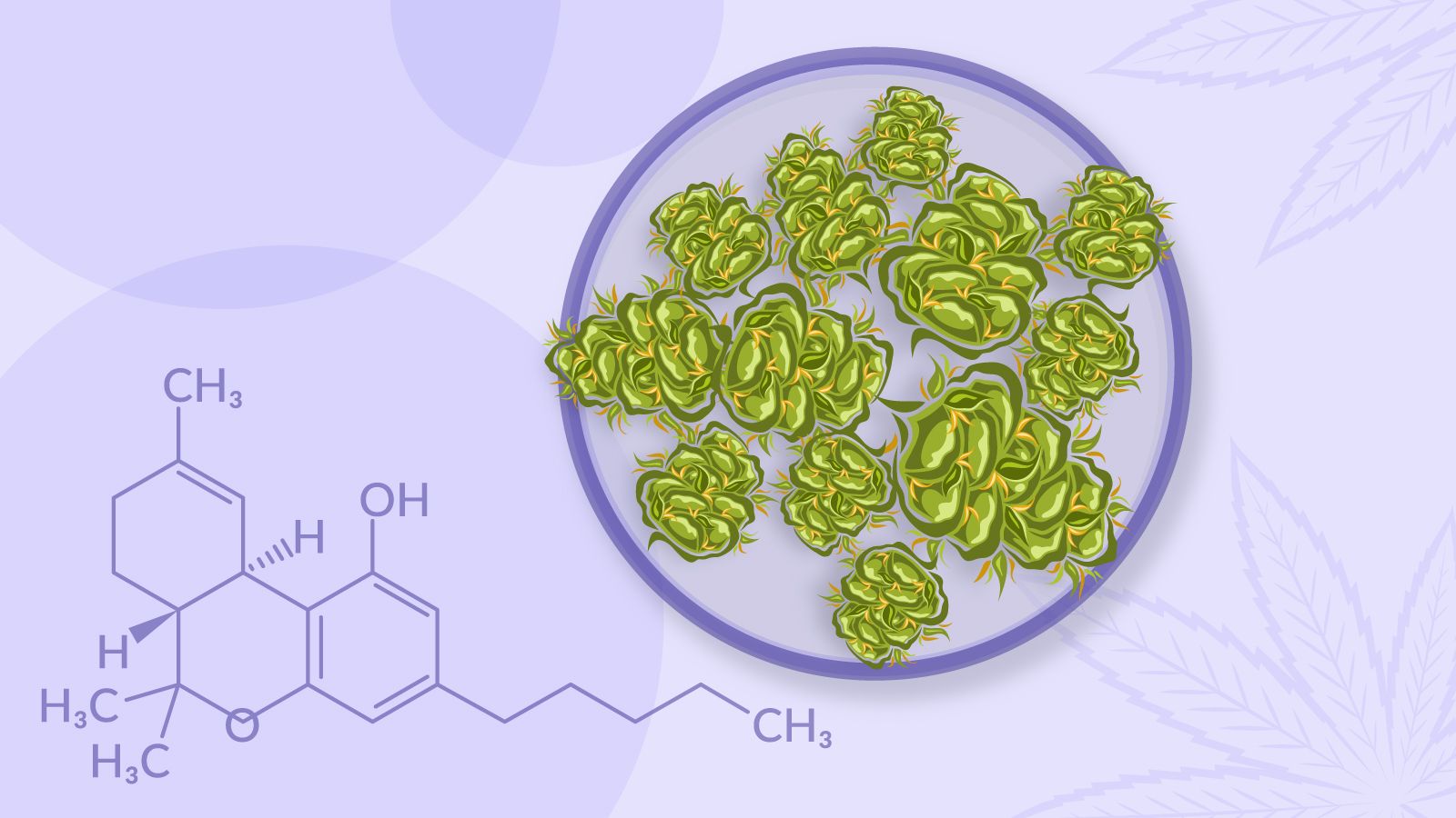 What Is THC-O? Understanding the Risks
