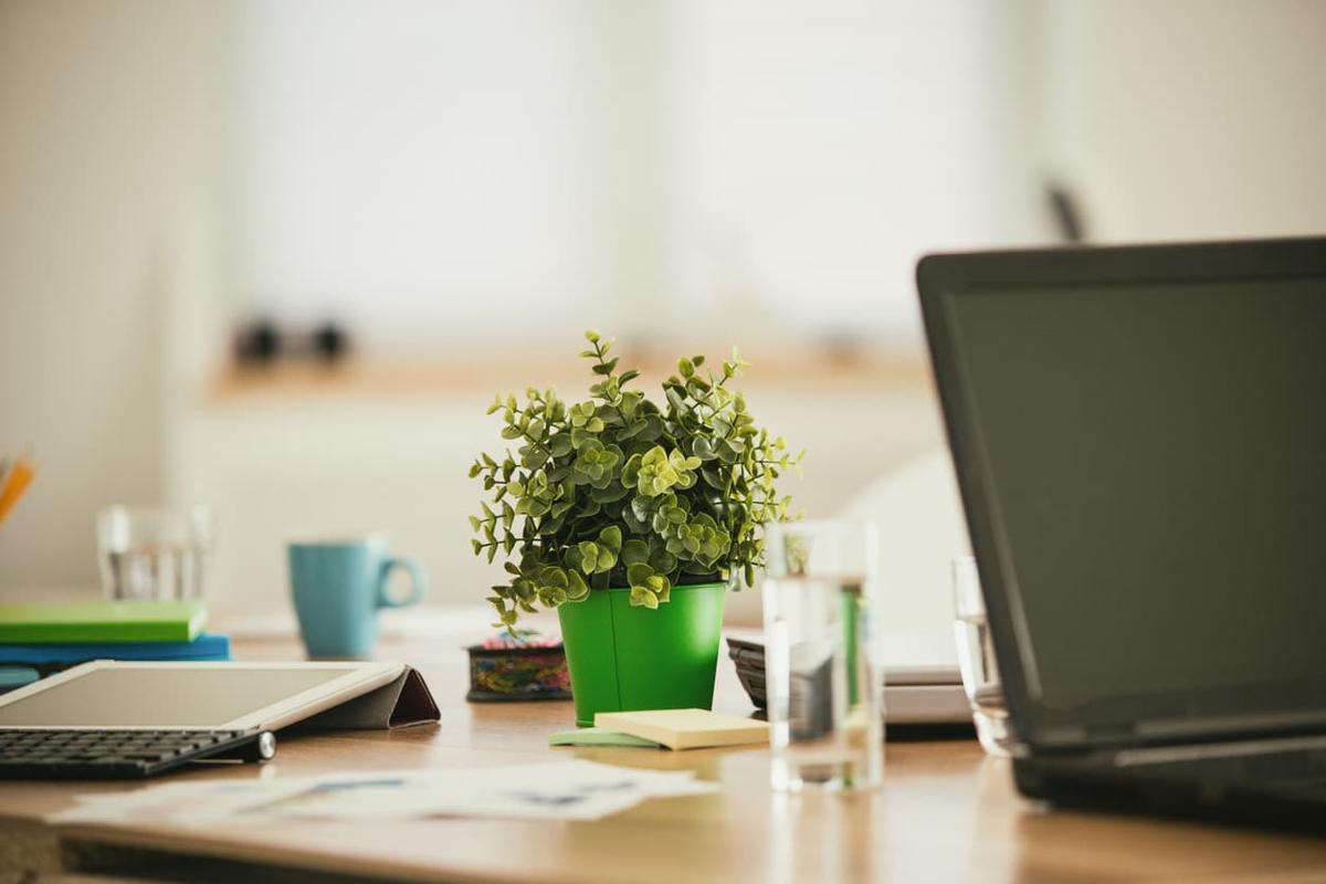 A wooden office desk featuring a small green potted plant in the center, flanked by a laptop, a tablet with a keyboard, a glass of water, and a blue coffee mug in a bright, blurred office setting.