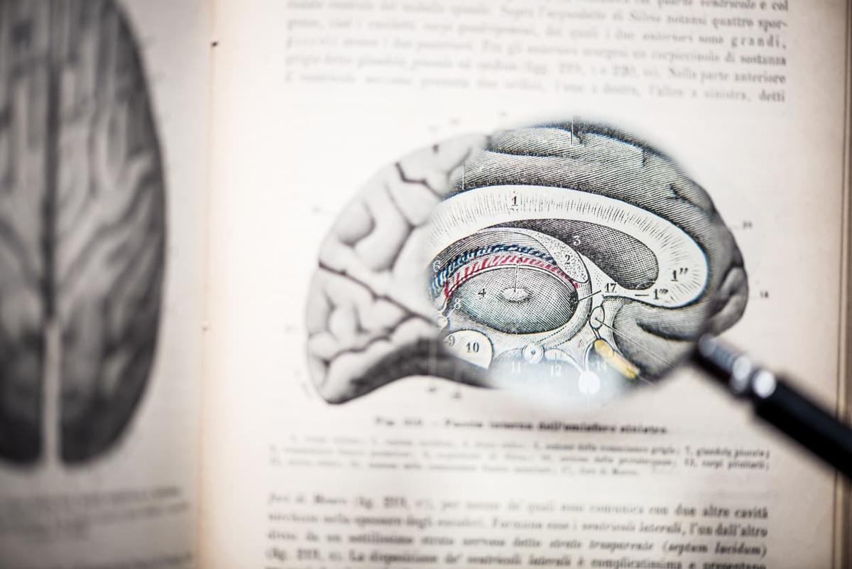 A magnifying glass held over an open vintage medical book, specifically enlarging a detailed anatomical illustration of a human brain section.