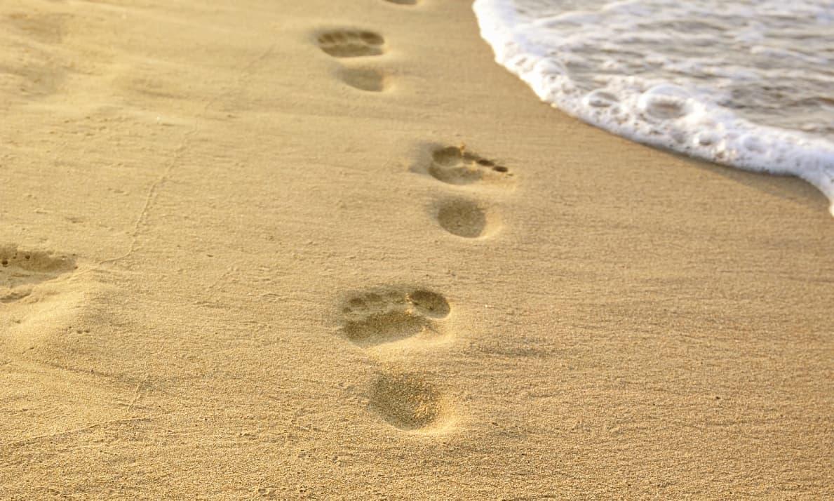 A line of human footprints leads across a smooth, golden sand beach, with a gentle white ocean wave washing onto the shore in the upper right corner.