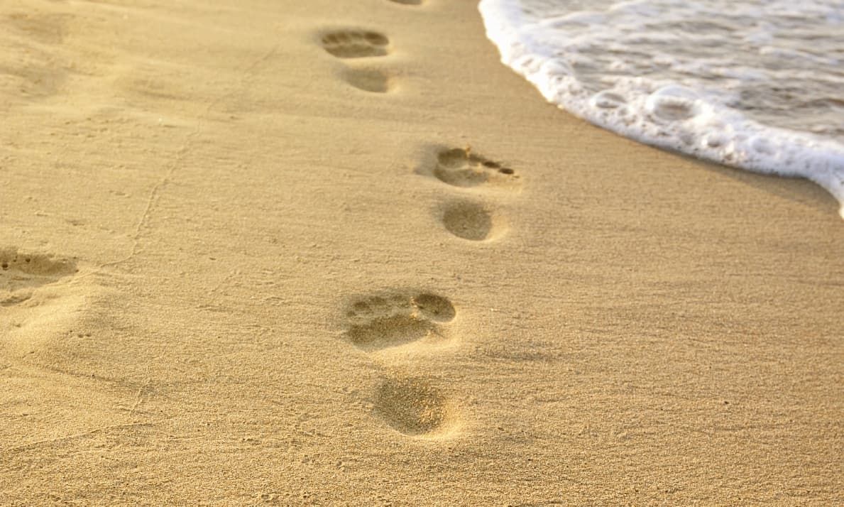 Normalizing the Grieving Process