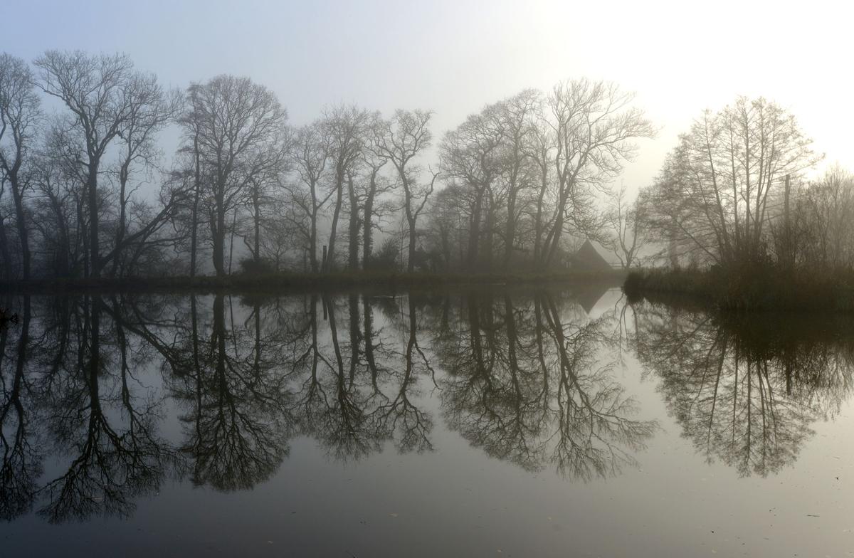 What Are the Consequences of Co-Occurring Disorders?