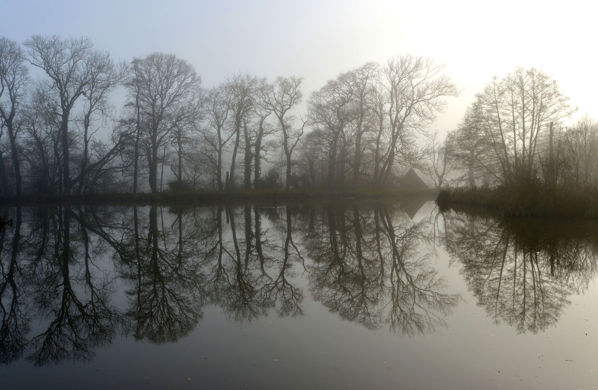 What Are the Consequences of Co-Occurring Disorders?