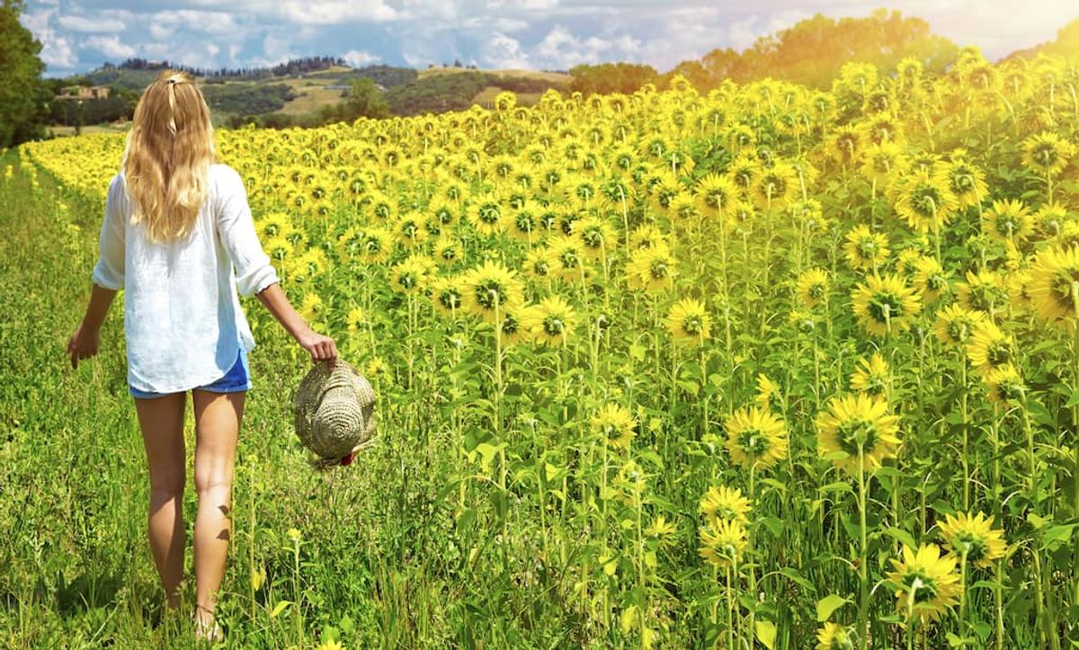 A blonde woman seen from behind walks through a lush green path next to a vast field of blooming yellow sunflowers.