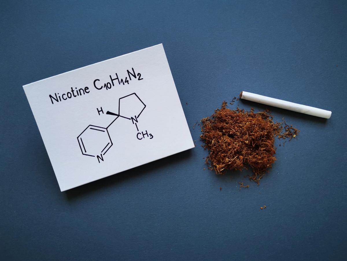 A white card displaying the word "Nicotine," its chemical formula $C_{10}H_{14}N_{2}$, and its skeletal structure diagram.