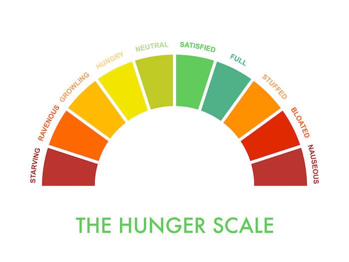 An infographic titled "The Hunger Scale" showing a semi-circular gauge divided into ten color-coded segments ranging from "Starving" (dark red) on the far left to "Nauseous" (dark red) on the far right, with "Satisfied" (bright green) at the top center.