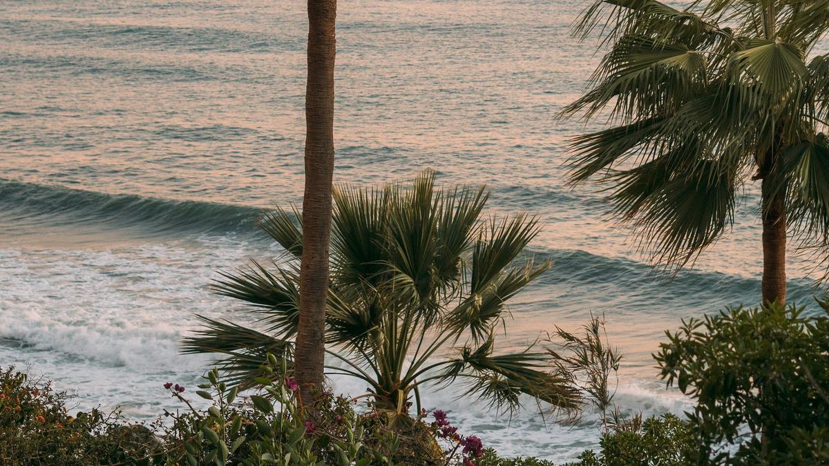 Ocean waves rolling onto a sandy Florida beach framed by palm trees at sunset, representing the serene setting often associated with rehab in Florida.