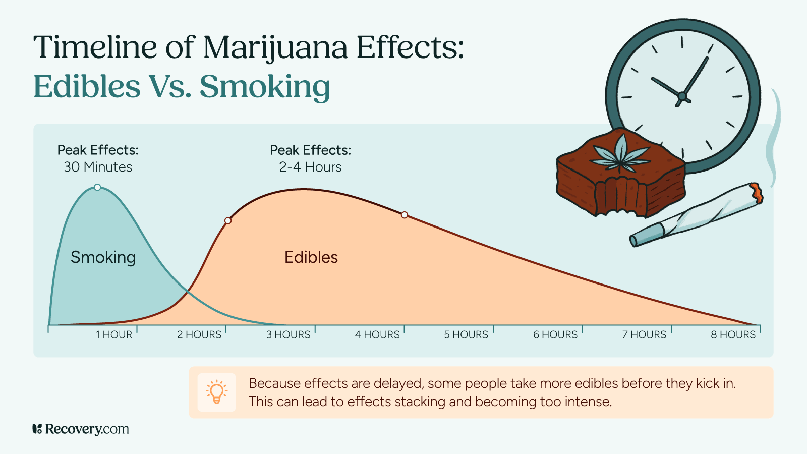 An educational infographic titled