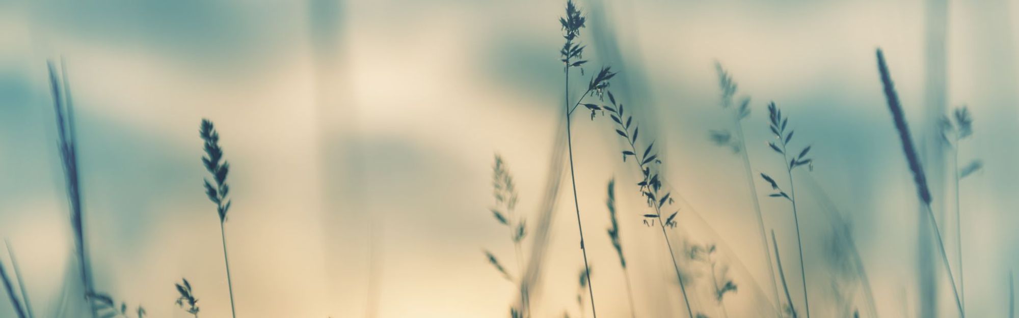 How We Speak Matters: Undoing Stigmatizing Language: Andrew Schreier hero image