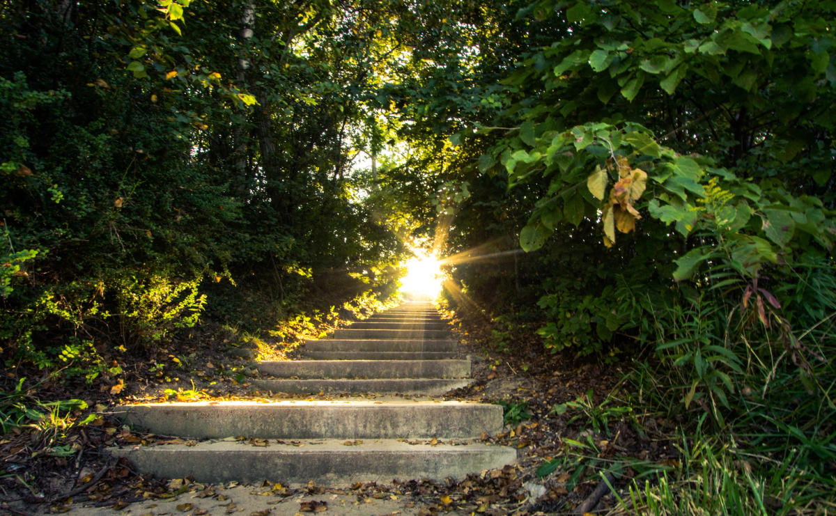 Stone steps leading through a forest toward bright sunlight, symbolizing hope, growth, and a journey toward new beginnings.