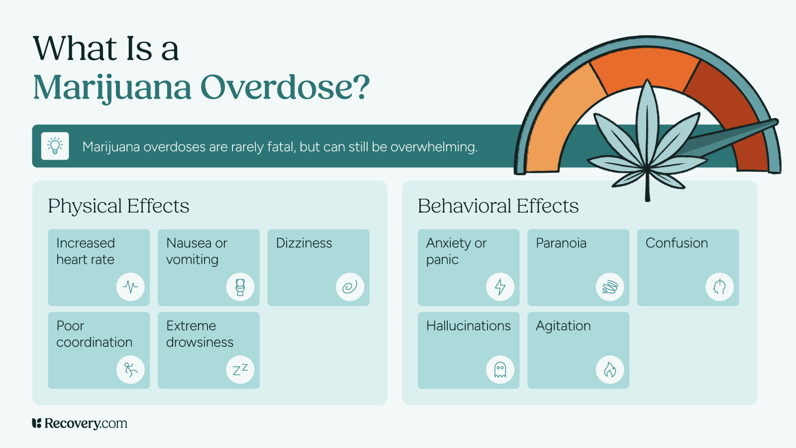 Marijuana Overdose Effects Infographic An educational infographic titled