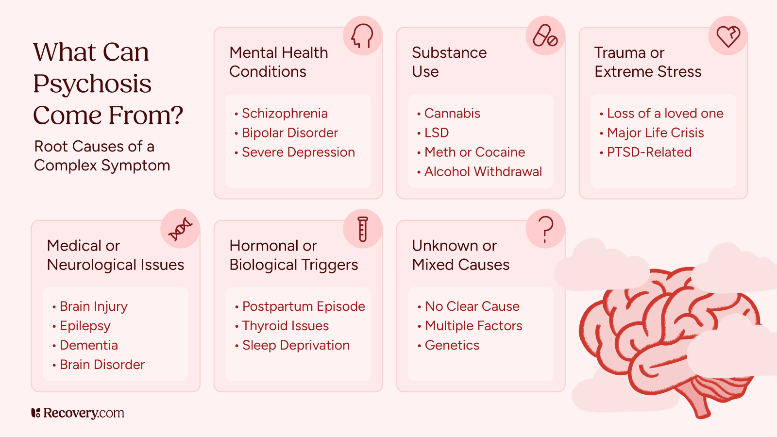 Infographic titled What Can Psychosis Come From? showing six root causes of psychosis. Categories include mental health conditions like schizophrenia and bipolar disorder, substance use, trauma or stress, medical or neurological issues, hormonal or biological triggers, and unknown or mixed causes. A brain illustration appears in the bottom right.