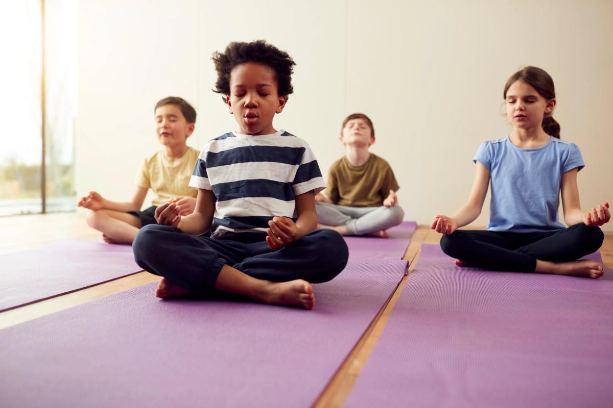 Addressing Mental Health in Schools with Yoga: Rena Shoshana Forester