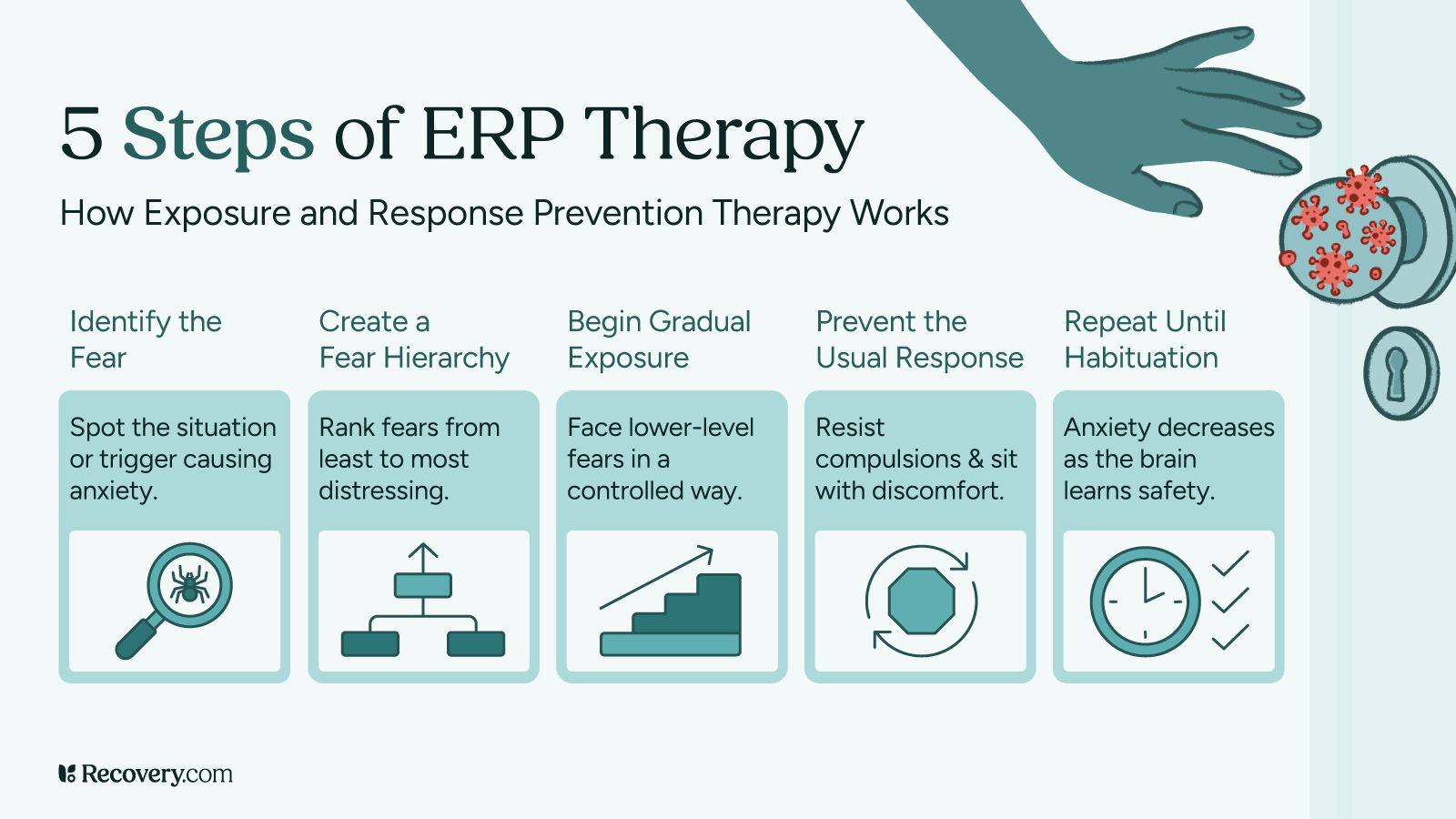 Infographic titled 5 Steps of ERP Therapy showing how Exposure and Response Prevention Therapy works. Steps include identify the fear, create a fear hierarchy, begin gradual exposure, prevent the usual response, and repeat until habituation. Visuals include icons of a brain, fear ladder, exposure ramp, cycle-breaking symbol, and clock.