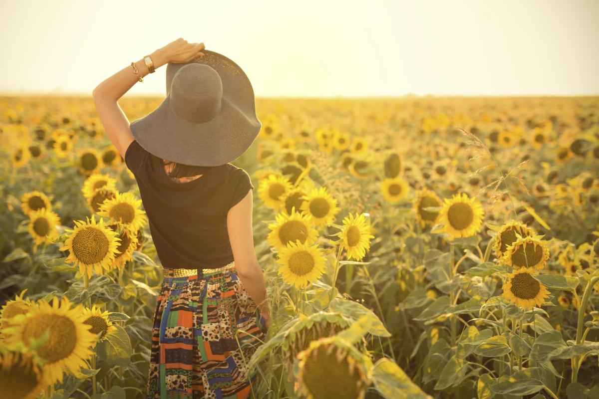 A woman in a large sun hat stands in a vast field of blooming sunflowers at sunset