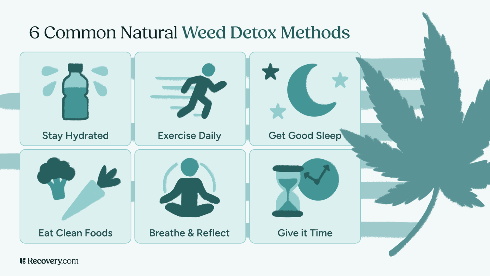 Infographic on 6 common natural weed detox methods, illustrating six healthy strategies: stay hydrated, exercise daily, get good sleep, eat clean foods, breathe and reflect, and give it time. Each method is represented by a simple icon on a pastel background, with a large cannabis leaf in the design.