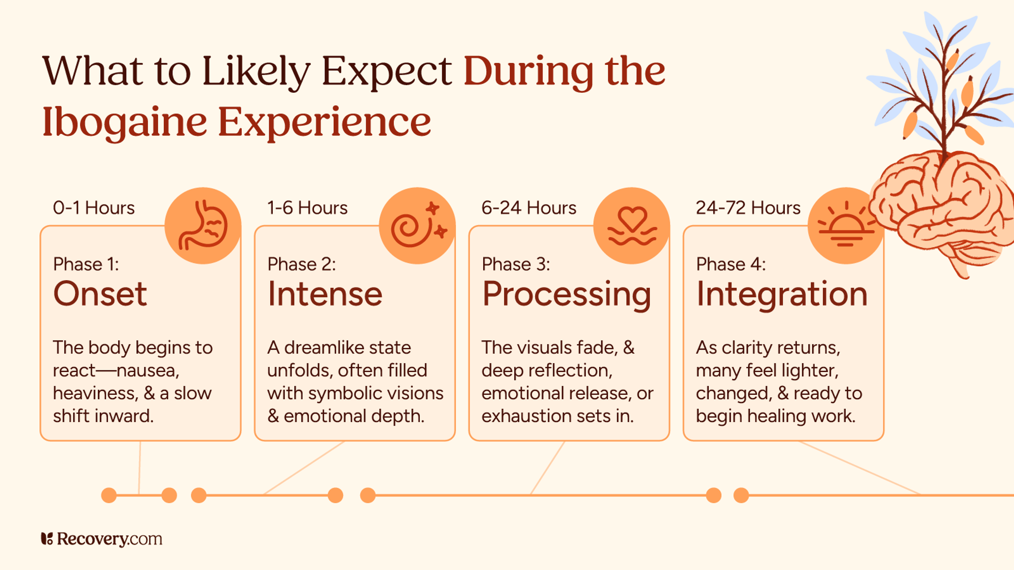 Infographic titled What to Likely Expect During the Ibogaine Experience, outlining four phases over 72 hours: Phase 1 includes Onset, 0– to 1 hours with nausea and heaviness; Phase 2 is Intense with 1 to 6 hours with dreamlike visions and emotional depth; Phase 3 with Processing, 6 to 24 hours with reflection and emotional release; and Phase 4 with Integration, 24 to 72 hours as clarity returns and healing begins. Includes icons and brain imagery