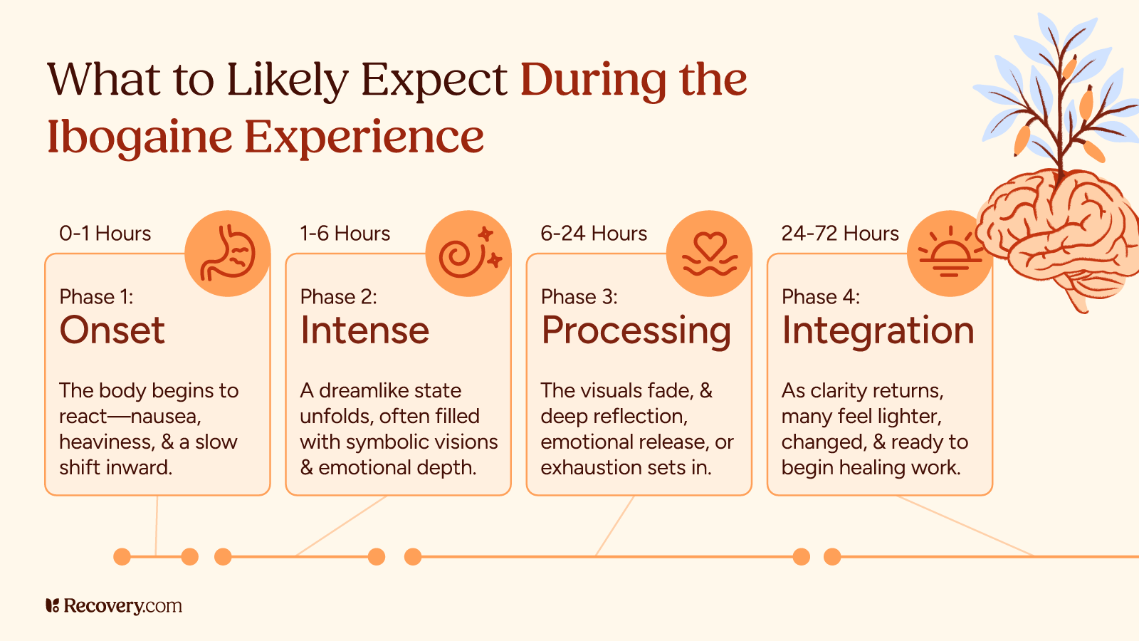 Infographic titled What to Likely Expect During the Ibogaine Experience, outlining four phases over 72 hours: Phase 1 includes Onset, 0– to 1 hours with nausea and heaviness; Phase 2 is Intense with 1 to 6 hours with dreamlike visions and emotional depth; Phase 3 with Processing, 6 to 24 hours with reflection and emotional release; and Phase 4 with Integration, 24 to 72 hours as clarity returns and healing begins. Includes icons and brain imagery