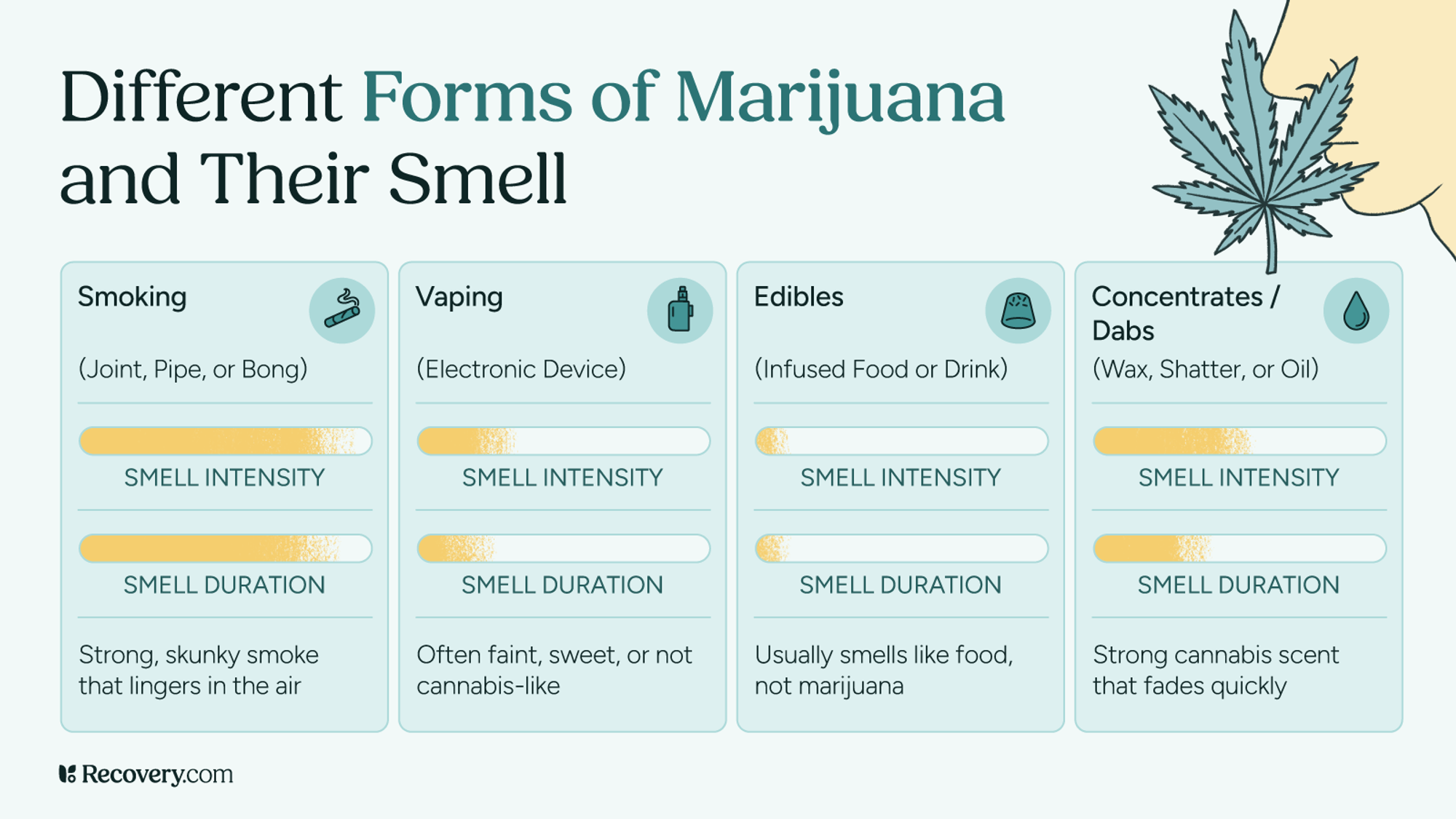 This infographic compares the smell intensity and duration of four different methods of marijuana consumption. Each method is presented in a vertical card with a title, a sub-description, two visual progress bars, and a brief summary of the scent profile.