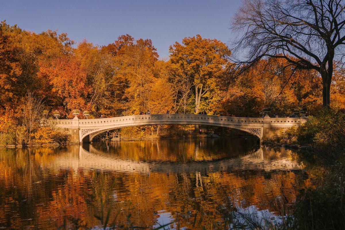 A bridge during autumn, with white ornate architecture and vibrant orange foliage reflected in a calm lake.